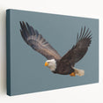 Stretched canvas wall art featuring a colorful birds of prey design, showcasing detailed illustrations and vibrant hues, perfect for adding a nature-inspired touch to any decor.