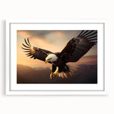 Framed wall art featuring a vibrant bird design from the "Birds of Pray" collection, showcasing intricate details and a white mat for an elegant finish. Perfect for nature enthusiasts and home decor lovers.