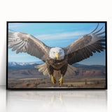 Framed acrylic wall art collection featuring a vibrant design of various birds in flight, set against a sleek black background, perfect for modern home decor.