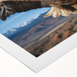 Rolled canvas artwork showcasing a vibrant birds of prey design, featuring intricate details and bold colors, elegantly packaged for easy display in home decor.