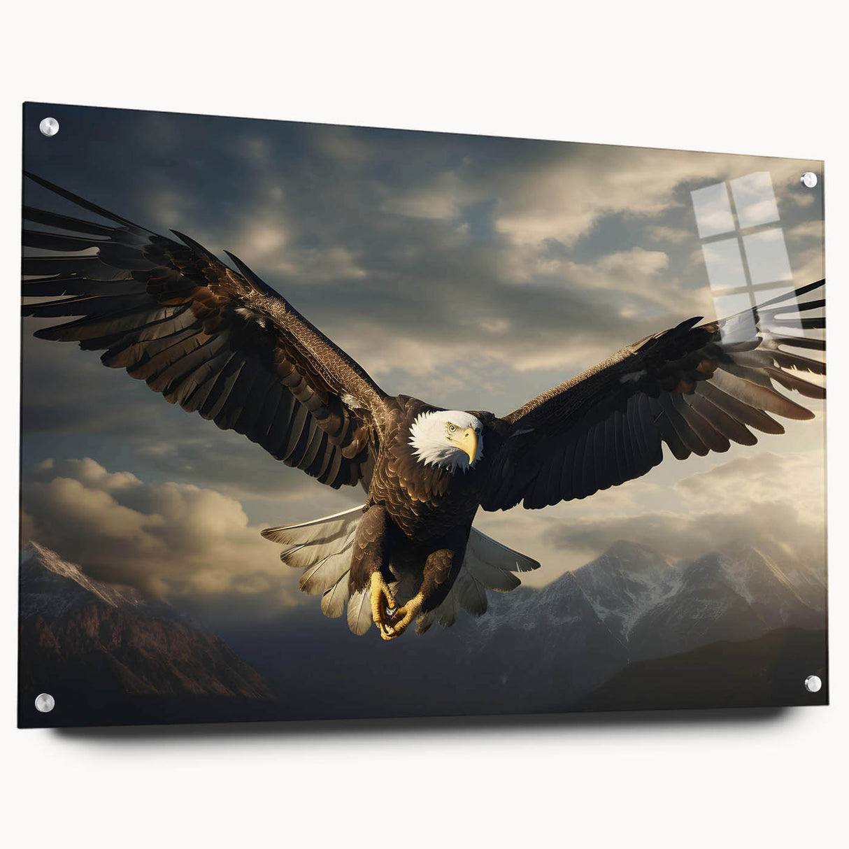 Acrylic glass wall art showcasing a vibrant 'Birds of Prey' design, featuring intricate details and colorful imagery, mounted with stylish pins for display.