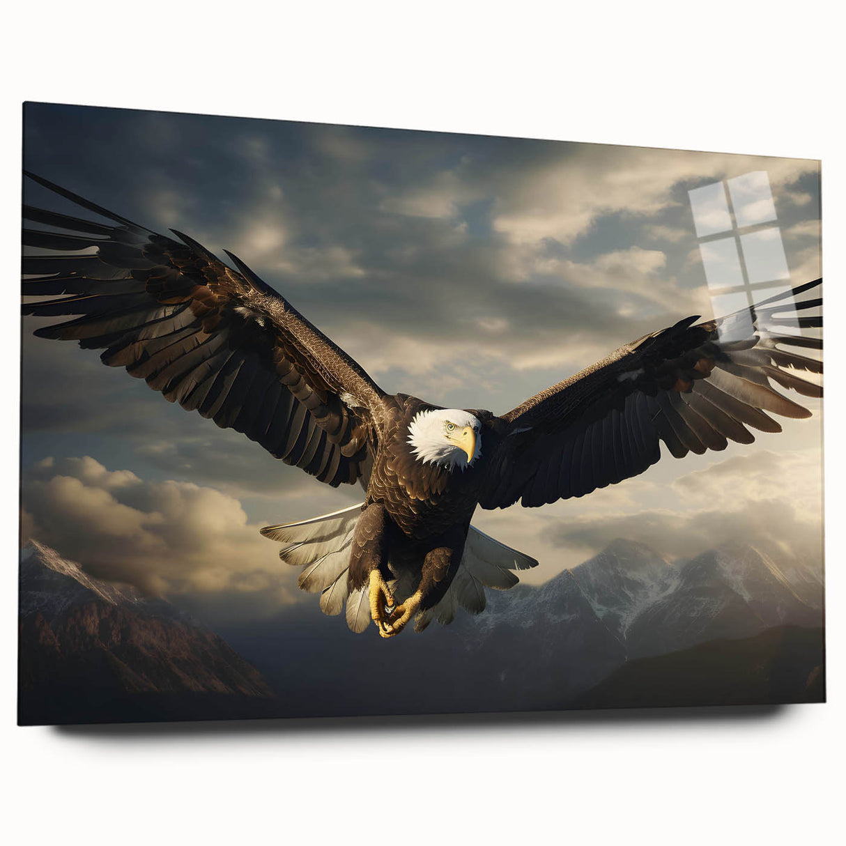 Acrylic glass wall art showcasing a vibrant birds of prey design from the collection, viewed from the side, highlighting its sleek edges and modern aesthetic. The artwork features dynamic colors and intricate details that capture the essence of avian beauty, perfect for elevating any contemporary space.