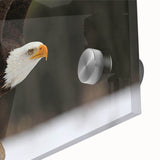 Close-up of a vibrant acrylic glass wall art piece showcasing a detailed design of colorful birds in flight, perfect for home decor and nature enthusiasts.