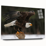 Acrylic glass wall art showcasing a vibrant birds of prey design, viewed from the side, highlighting its sleek edges and vivid colors, perfect for nature enthusiasts.
