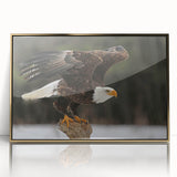 Framed acrylic wall art featuring a striking "Birds of Pray" design with gold accents, showcasing vibrant birds in a colorful composition, perfect for modern decor.