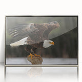 Framed wall art featuring a collection of vibrant birds with intricate designs, presented in a sleek silver frame, ideal for enhancing modern decor aesthetics.