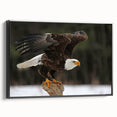 Framed canvas wall art showcasing a detailed birds of prey design, featuring vibrant colors and intricate patterns, viewed from the side against a neutral background.