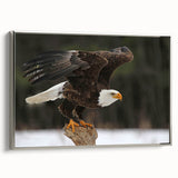 Framed wall art featuring a striking birds of prey design in elegant silver tones, displayed from a side view, perfect for enhancing modern home decor.