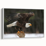Framed wall art showcasing a vibrant birds of prey design on canvas, featuring a white frame and side view, perfect for home decor or wildlife enthusiasts.