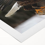 Colorful rolled canvas showcasing a vibrant birds of prey design, featuring intricate details and textures, ideal for home decor or artistic display.