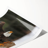 Rolled print of a vibrant bird-themed wall art design featuring colorful illustrations of various bird species, ideal for home decor and artistic expression.