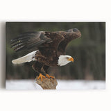 Stretched canvas wall art showcasing a vibrant design of various birds in flight, featuring bright colors and intricate details, perfect for home decor.