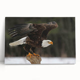 Stretched canvas wall art featuring a vibrant birds of prey design, showcasing detailed illustrations of eagles and hawks in a natural setting, ideal for home decor.