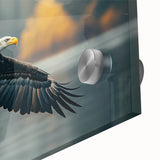 Close-up of a vibrant acrylic glass wall art piece featuring a detailed bird design, showcasing rich colors and intricate textures, ideal for modern decor.