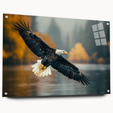 Vibrant acrylic glass wall art showcasing a collection of bird designs, featuring a side view with decorative pins for mounting, perfect for nature enthusiasts.