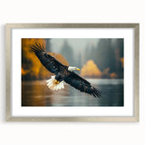 Framed wall art collection featuring a detailed design of birds in flight with a silver mat border, perfect for enhancing modern home decor.