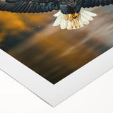 Vibrant rolled canvas art showcasing a striking design of various bird species in a colorful, artistic style. Perfect for nature lovers and modern decor enthusiasts.