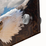 Close-up of a vibrant acrylic glass wall art piece showcasing a striking bird of prey design, featuring intricate details and vivid colors, ideal for modern decor.