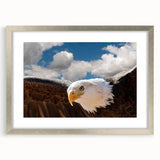 Framed wall art featuring a contemporary bird design in vibrant colors, elegantly displayed with a silver mat and frame, perfect for modern home decor.