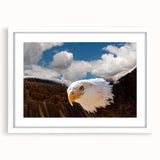 Framed wall art featuring a stunning "Birds of Prey" design, showcasing intricate details and vibrant colors, with a white mat and sleek frame, perfect for home decor.