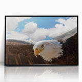 Framed wall art showcasing an intricate design of birds in flight, set in a sleek black frame, perfect for home decor or office aesthetics. The vibrant colors and detailed illustrations enhance any interior space, making it an eye-catching focal point.