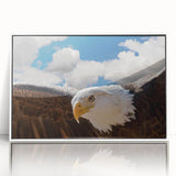 Framed acrylic wall art featuring a vibrant birds of prey design, showcasing intricate details and bold colors, perfect for adding a touch of nature-inspired decor to any space.