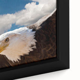 Framed canvas wall art featuring a detailed close-up of an abstract bird design, showcasing vibrant colors and intricate patterns, perfect for contemporary decor.