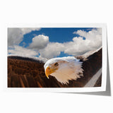 Vibrant rolled wall art print showcasing an intricate design of birds in flight, featuring a colorful palette and dynamic composition, perfect for home decor.