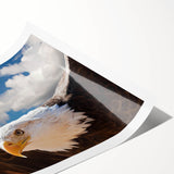 Colorful rolled print of a bird-themed wall art collection showcasing various species, designed for home decor, packaged securely in a cardboard tube for easy display.