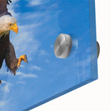 Close-up of a vibrant acrylic glass wall art piece showcasing a stunning birds of prey design, ideal for nature lovers and modern decor enthusiasts.