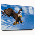 Acrylic glass wall art display featuring a colorful birds of prey design, side view showcasing pins for mounting, ideal for nature-themed decor.