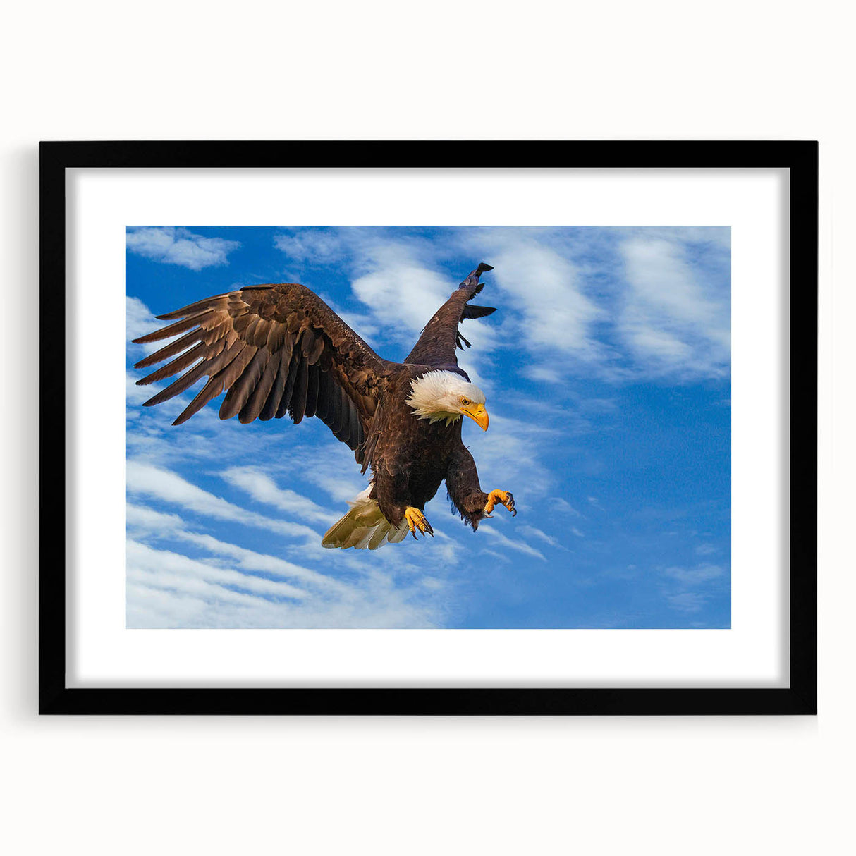 Framed wall art featuring a striking design of birds, showcasing intricate details and vibrant colors. The black frame enhances the artwork's elegance, making it a perfect addition to any modern decor.