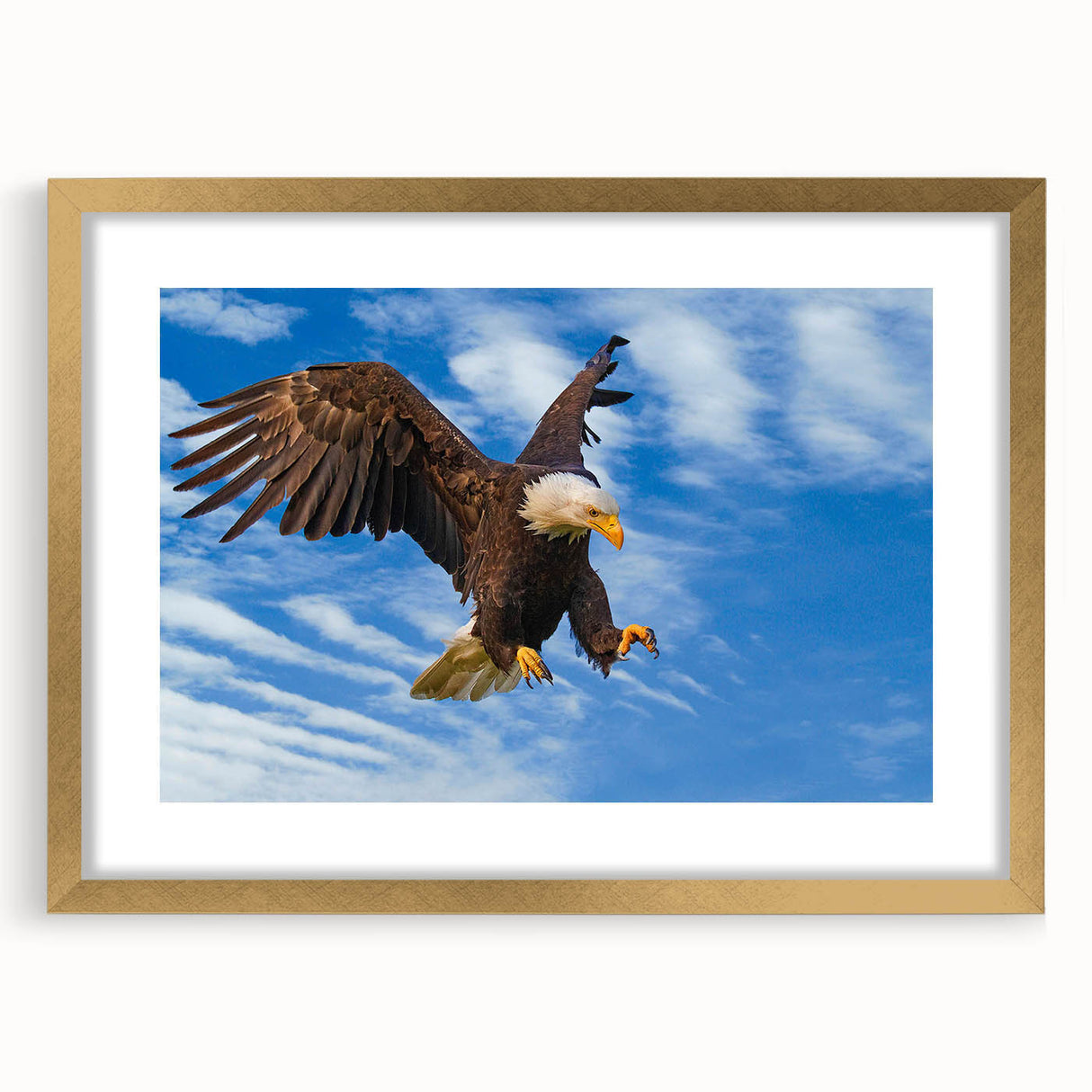 Framed wall art featuring a gold mat and intricate bird design, ideal for home decor, showcasing elegant craftsmanship and vibrant colors. Perfect for nature enthusiasts.