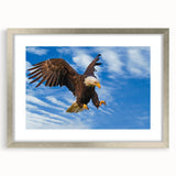 Framed wall art featuring a detailed illustration of birds in flight, showcasing vibrant colors and intricate designs, set in a silver frame with a mat. Perfect for enhancing any modern decor.