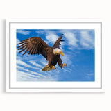 Framed wall art featuring a vibrant birds of prey design, with a clean white mat and frame, showcasing intricate details and colors, ideal for home decor.