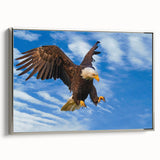 Framed canvas wall art depicting a vibrant birds-of-prey design, featuring detailed illustrations and a sleek silver frame, perfect for modern decor.