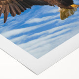 Vibrant rolled canvas wall art featuring a stunning design of colorful birds, showcasing intricate details and textures, perfect for enhancing any living space.