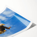 Rolled print showcasing a vibrant birds of prey design, featuring intricate details and rich colors, perfect for enhancing home decor or art collections.