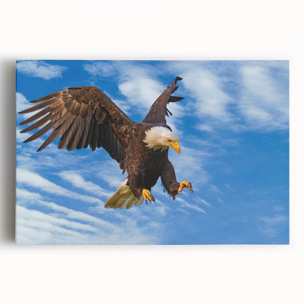 Stretched canvas wall art featuring a vibrant birds of prey design, showcasing intricate details and rich colors, perfect for enhancing modern home decor.