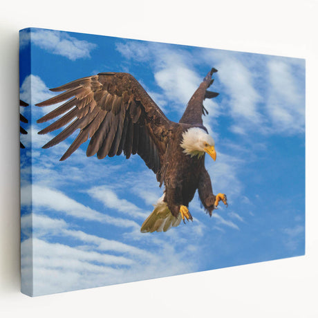 Stretched canvas wall art showcasing a vibrant birds of prey design, featuring rich colors and intricate details, ideal for nature-inspired decor.