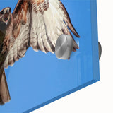 Close-up of a vibrant acrylic glass wall art piece featuring a stunning birds of prey design, showcasing intricate details and bold colors, perfect for nature enthusiasts.