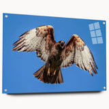 Acrylic glass wall art featuring a stylized bird design from the 'Birds of Pray' collection, displayed in a stylish side view with visible mounting pins, perfect for modern decor.