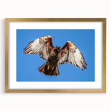 Framed wall art featuring a vibrant birds of prey design in gold and cream tones, showcasing intricate details and textures, ideal for enhancing home decor.