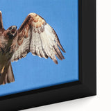 Close-up of a framed canvas wall art piece showcasing a vibrant bird design, featuring intricate details, rich colors, and a contemporary aesthetic ideal for home decor.