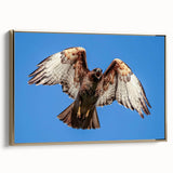 Framed canvas wall art showcasing a vibrant birds of prey design with intricate detailing, featuring a sleek gold frame, perfect for home décor.