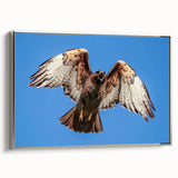 Framed wall art featuring a silver side view of a bird design, showcasing intricate details and vibrant colors, ideal for enhancing modern home decor.