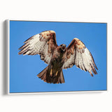 Framed canvas wall art depicting a vibrant birds of prey design, featuring rich colors and intricate details, ideal for enhancing modern home decor.