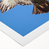 Vibrant rolled canvas artwork depicting a striking collection of bird illustrations in various colors, showcasing intricate details, perfect for home decor.