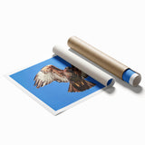 Rolled canvas print showcasing a vibrant Birds of Prey design, featuring intricate illustrations of various bird species in vivid colors. Ideal for nature lovers and home decor enthusiasts, this artwork adds a striking visual element to any space.