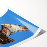 Colorful wall art print showcasing a stunning design of various birds in a natural setting, perfect for enhancing home decor. Ideal for nature enthusiasts and art lovers.